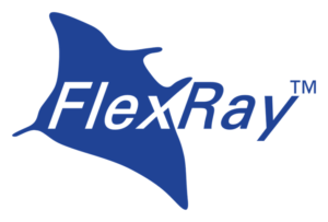 FlexRay Protocol